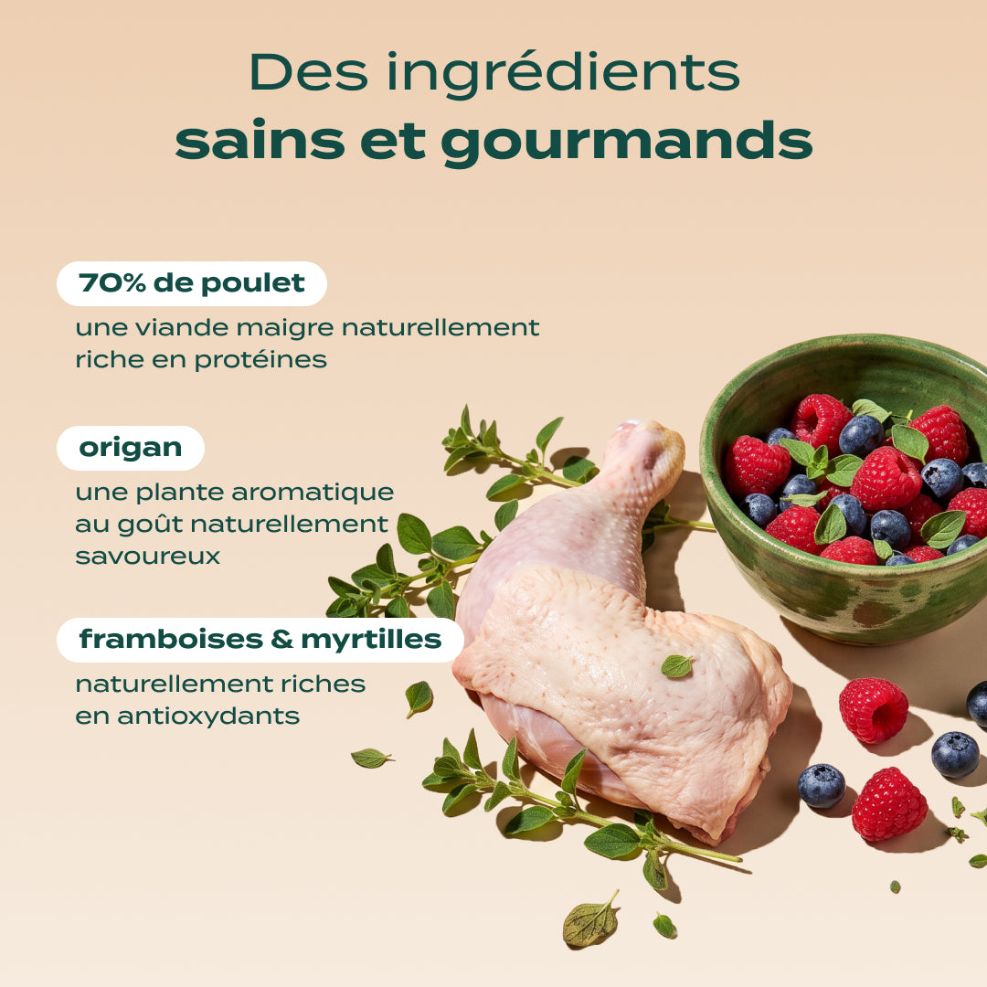 POULET, FRAMBOISE, ORIGAN