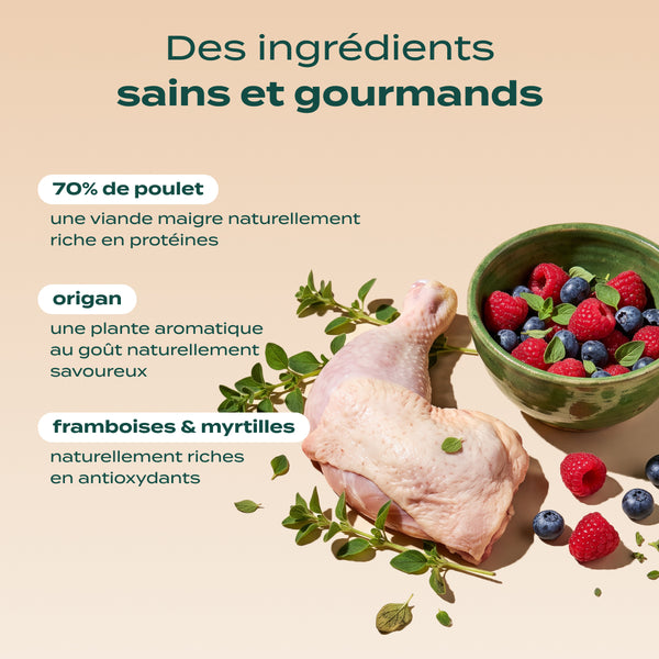 poulet-framboise-origan
