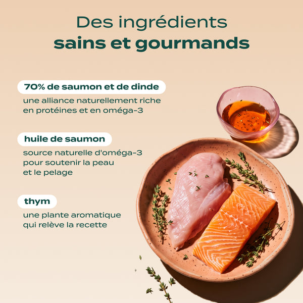 saumon-dinde-canneberge