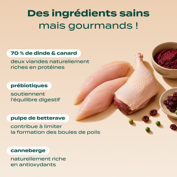 dinde-canard-canneberge