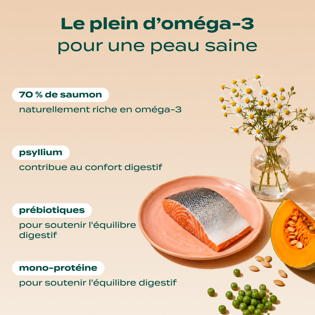 SAUMON, COURGE, CAMOMILLE