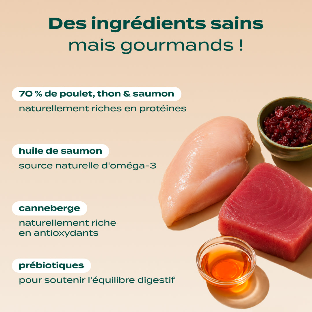 POULET, THON, SAUMON
