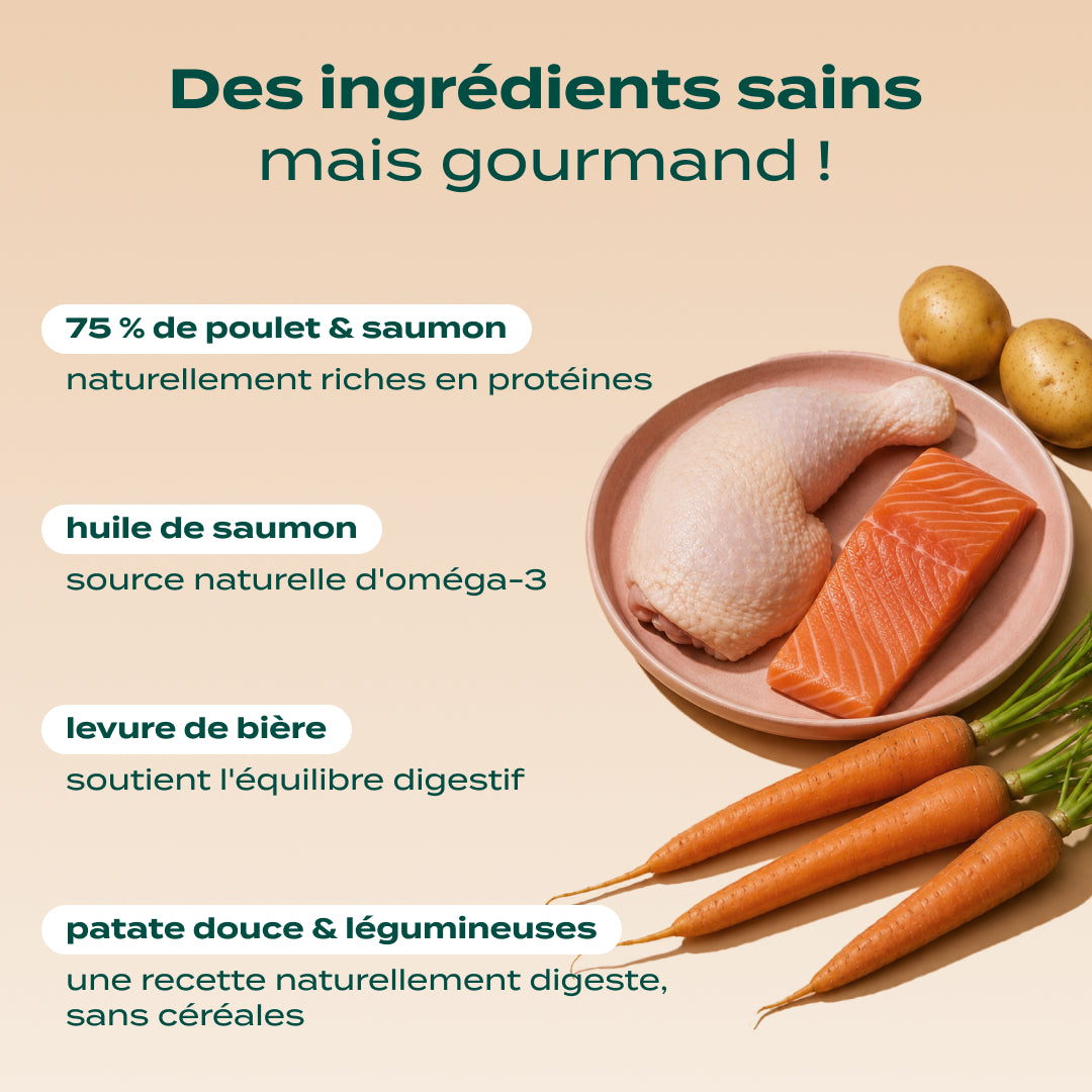 POULET, SAUMON, CAROTTE