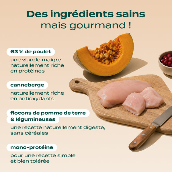poulet-courge-cranberry