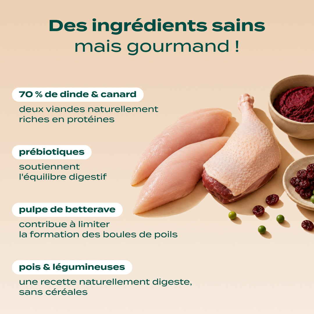DINDE, CANARD, CANNEBERGE