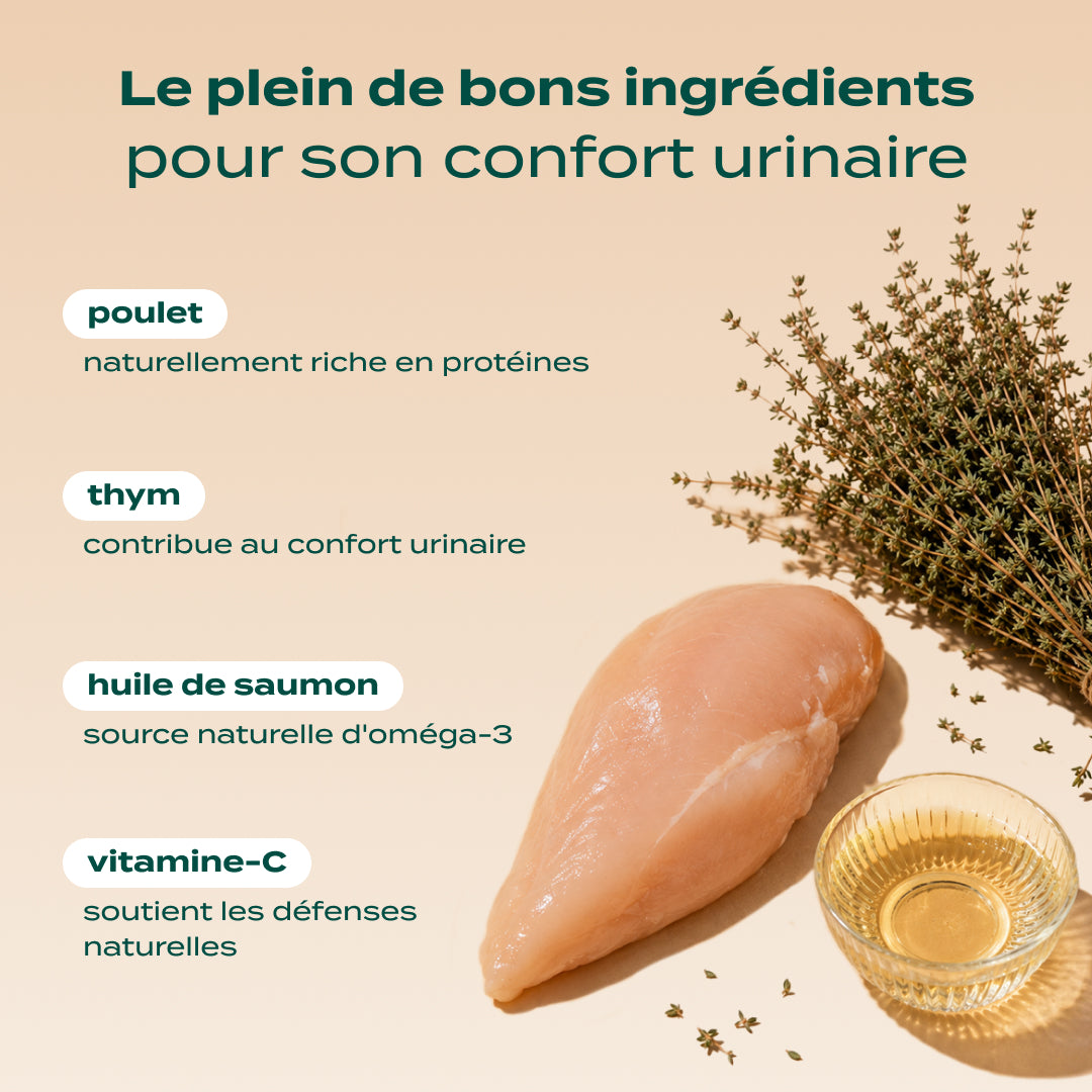 MINI SNACK URINAIRE