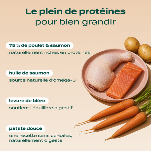 poulet-saumon-carotte
