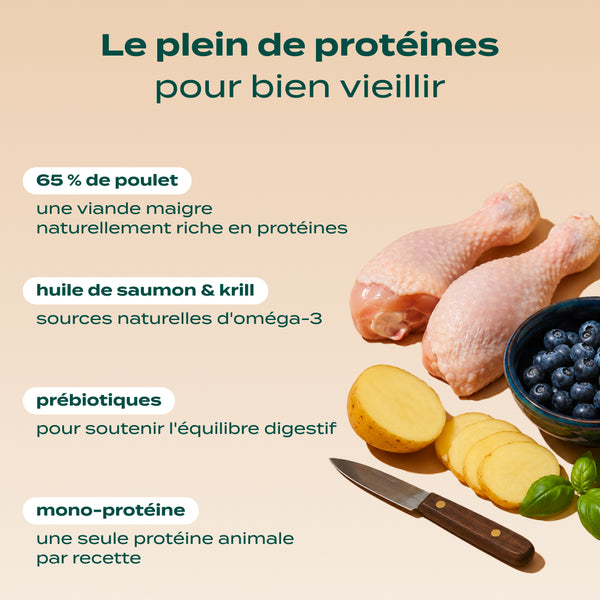 poulet-myrtille-basilic