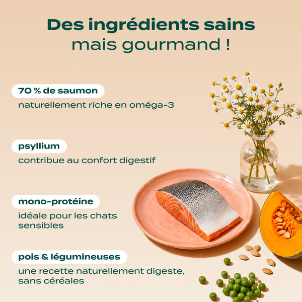 saumon-courge-camomille