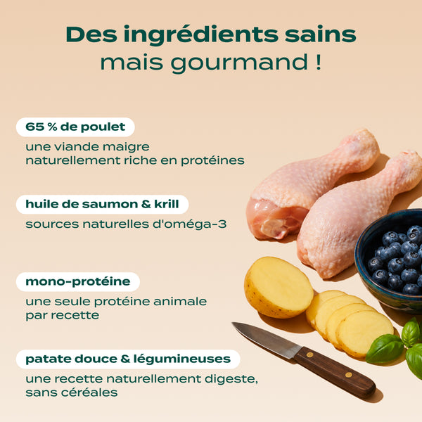 poulet-myrtille-basilic