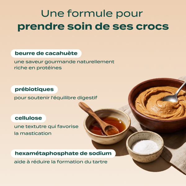 sticks-au-beurre-de-cacahuetes