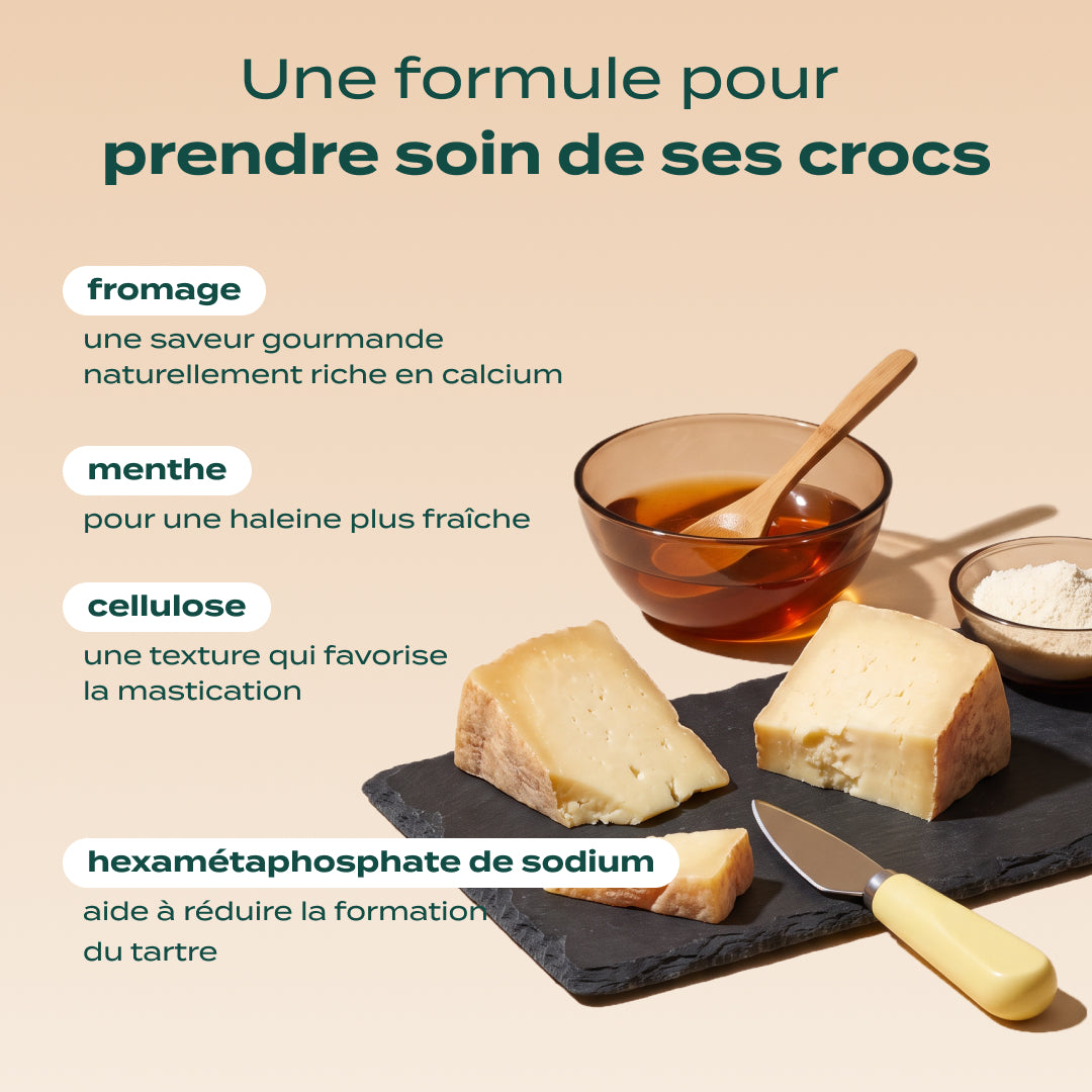 STICKS AU FROMAGE