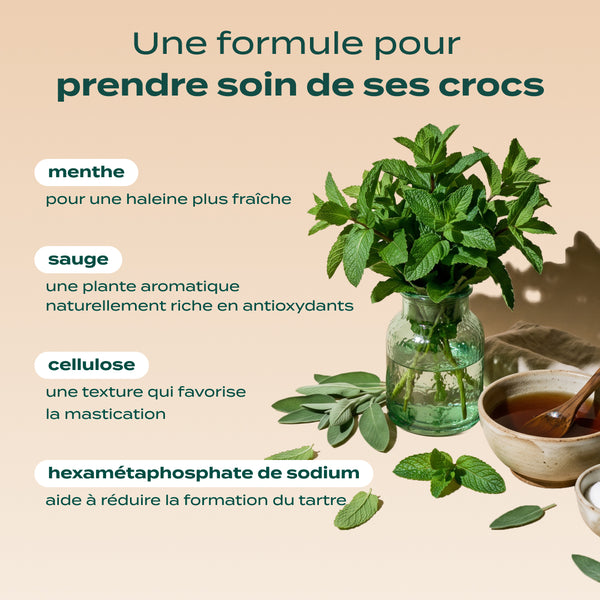 sticks-menthe-sauge