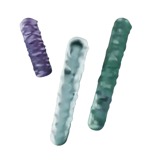 Franklin Alimentation premium pour chien et chat. Choisissez la meilleure nourriture pour votre animal : Croquettes sans céréales riches en protéines et faibles en glucides. Découvrez notre large gamme de pâtées et de friandises riches en viande !