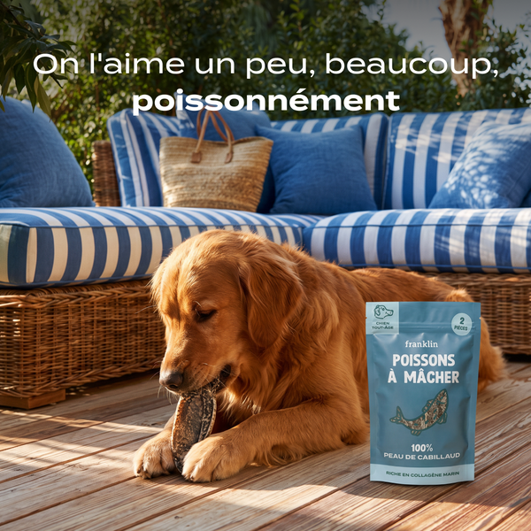 poissons-a-macher