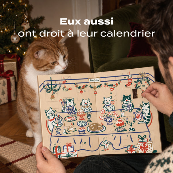 calendrier-de-l-39-avent-chat