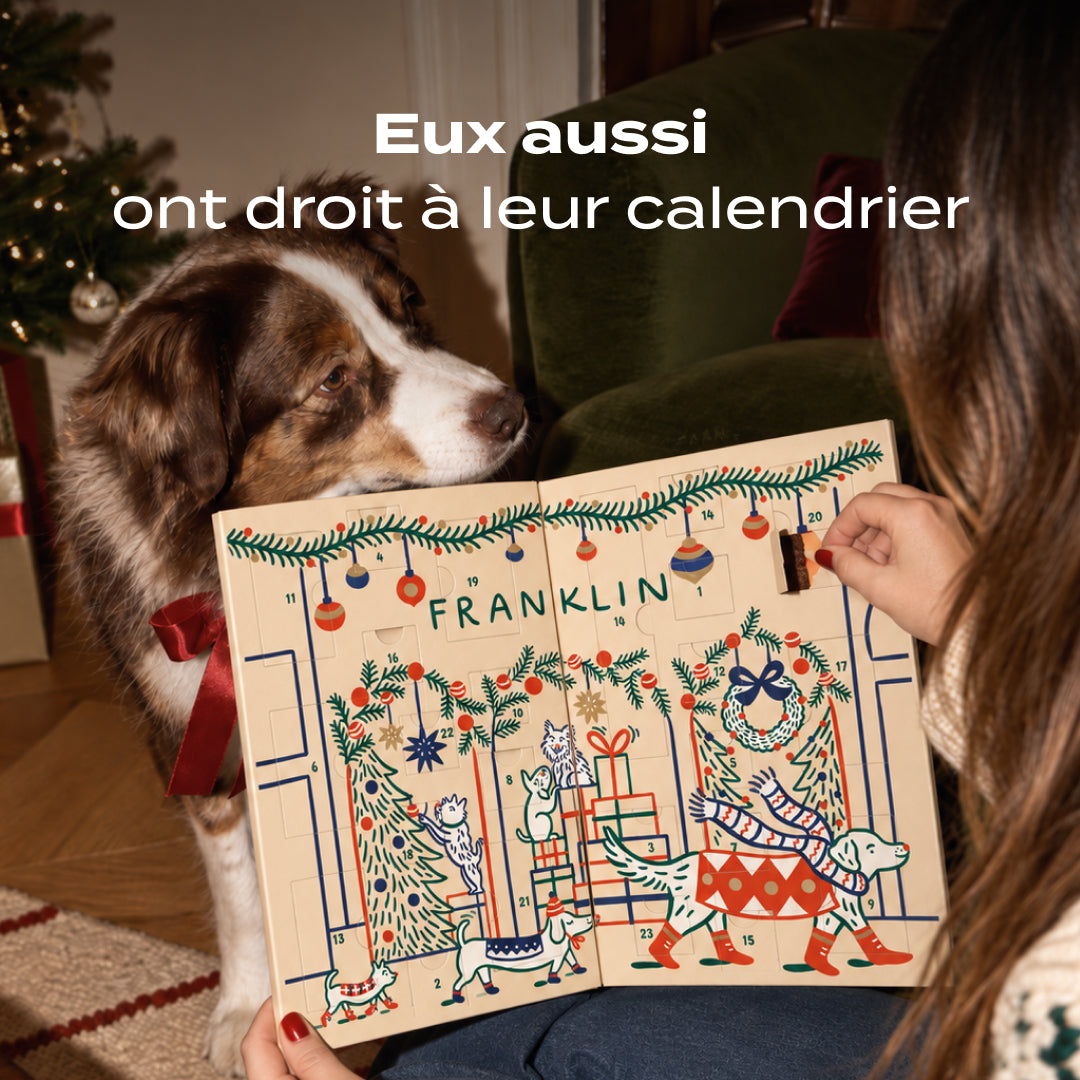 CALENDRIER DE L'AVENT CHIEN