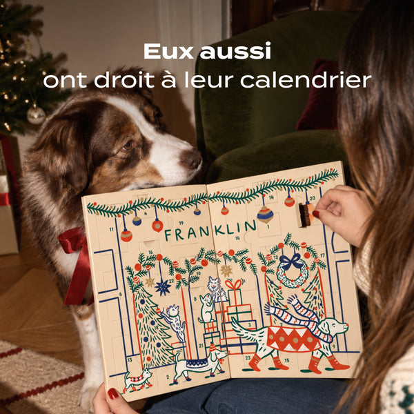 calendrier-de-l-39-avent-chien