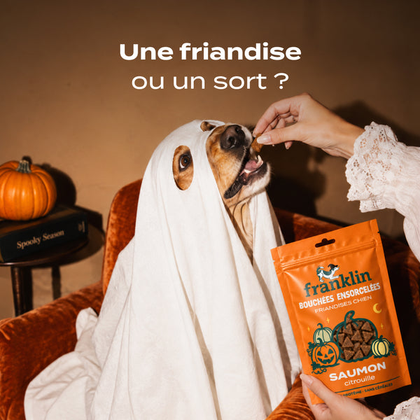 bouchees-ensorcelees-saumon-citrouille