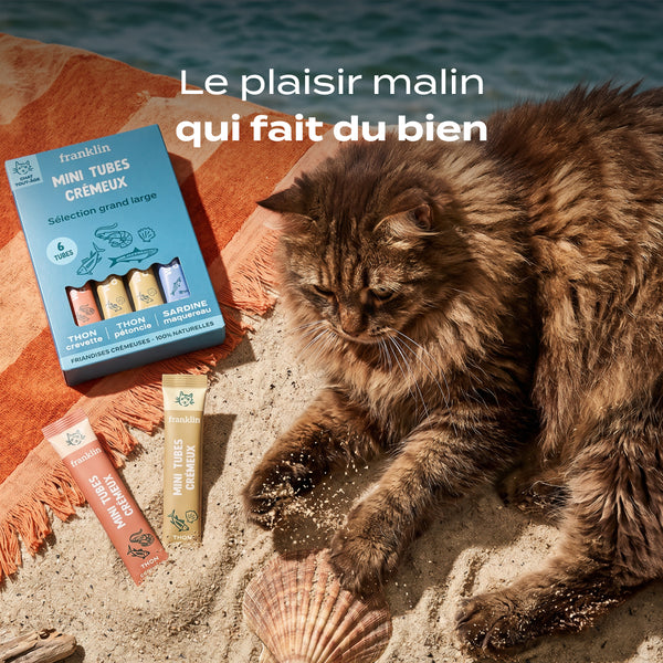 multipack-mini-tubes-poisson