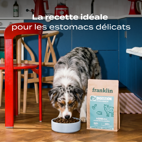 agneau-patate-douce-menthe