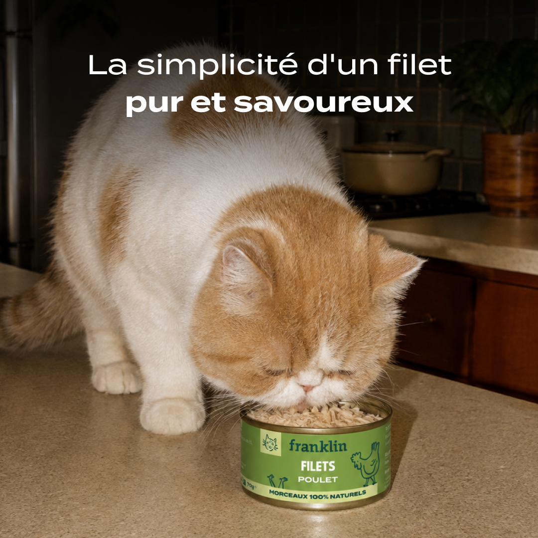 POULET