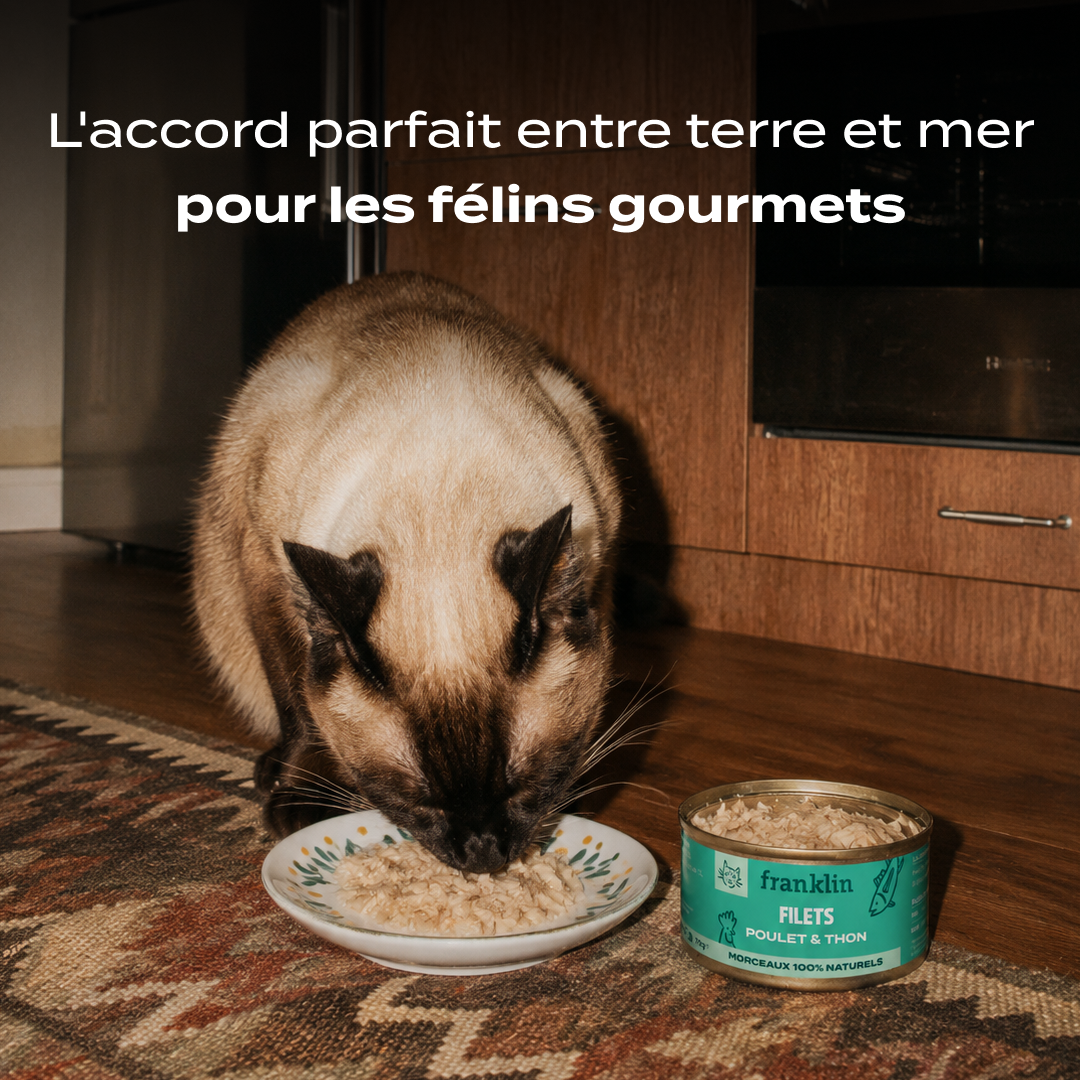 POULET & THON