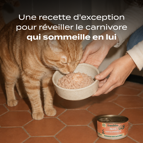 thon-amp-crevette