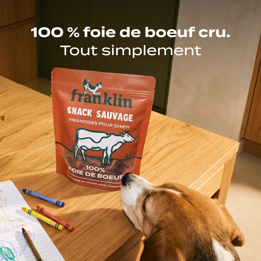 SNACK FOIE DE BŒUF