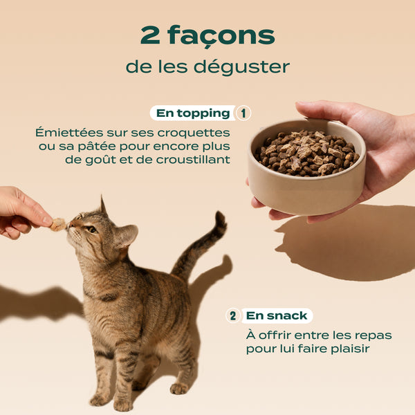 snack-gesier-de-poulet