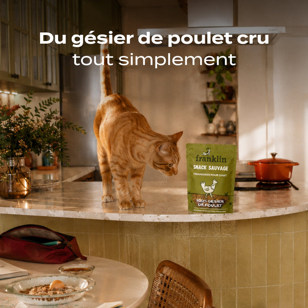 snack-gesier-de-poulet