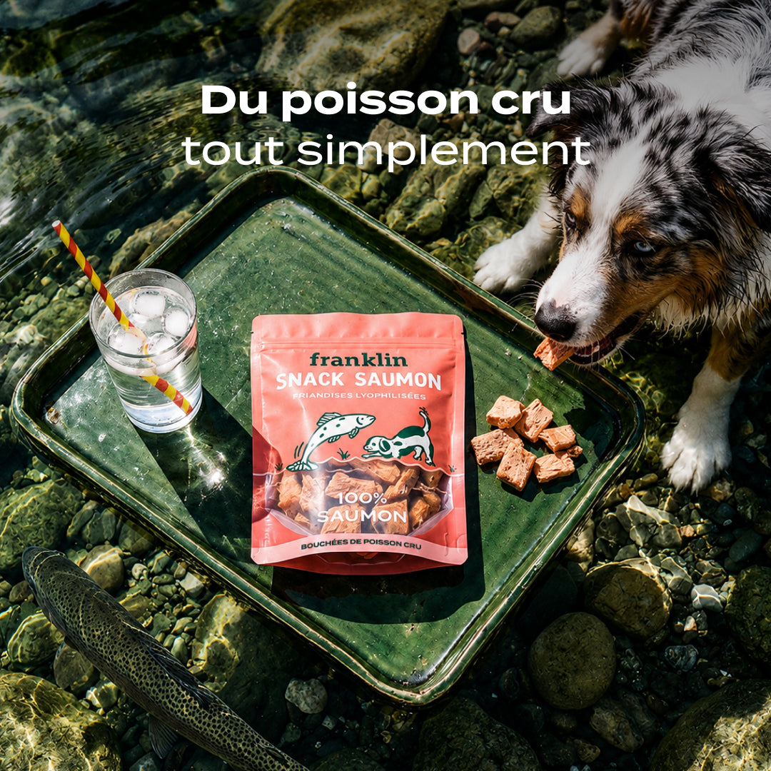 SNACK SAUMON