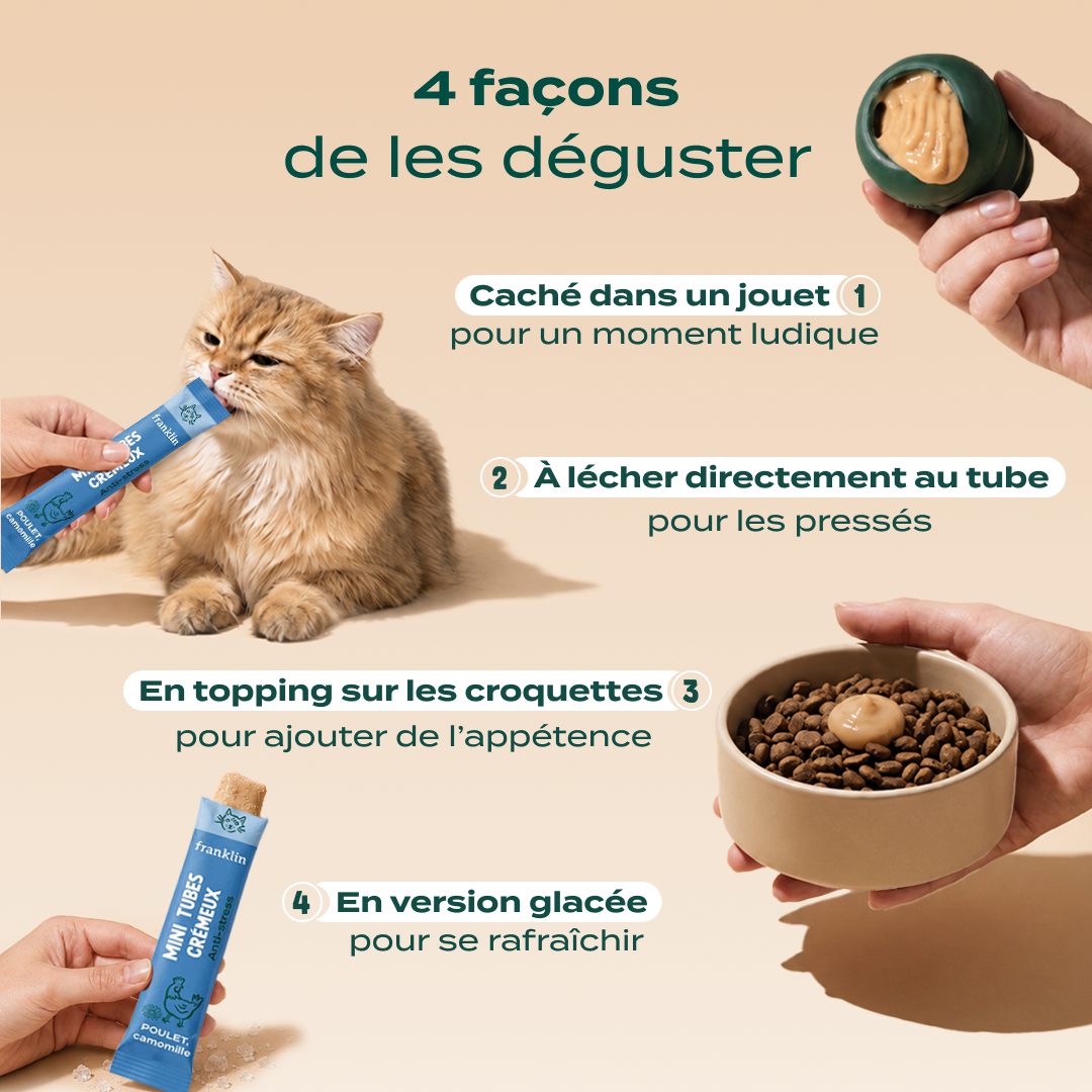 MINI TUBES POULET, CAMOMILLE