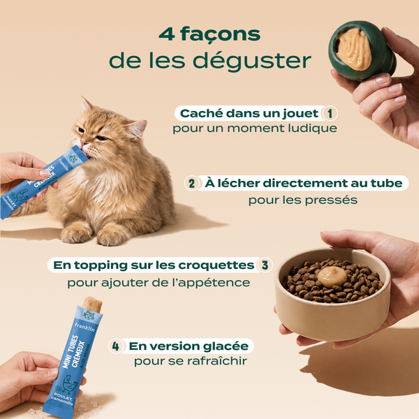 mini-tubes-poulet-camomille