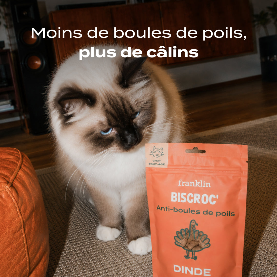BISCROC' ANTI BOULES DE POILS