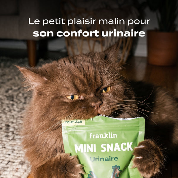 mini-snack-urinaire