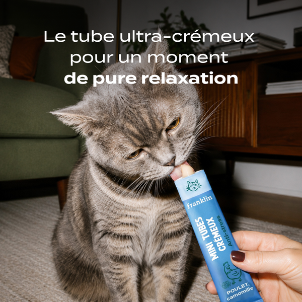 mini-tubes-poulet-camomille