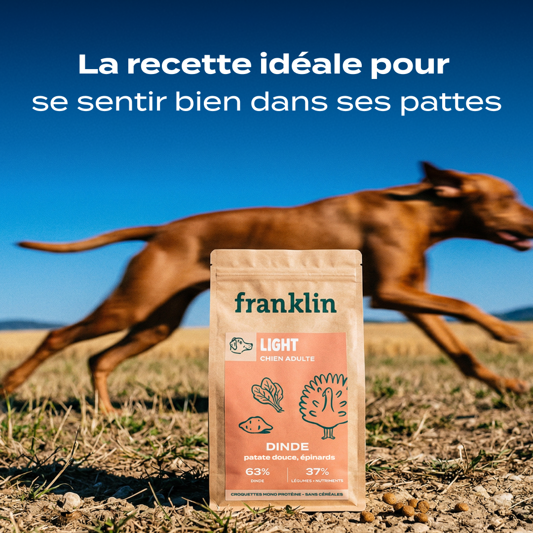 DINDE, PATATE DOUCE, ÉPINARDS
