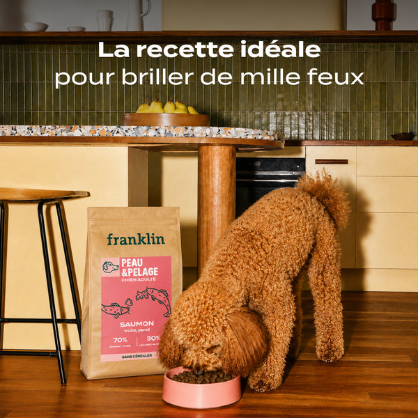 saumon-truite-persil