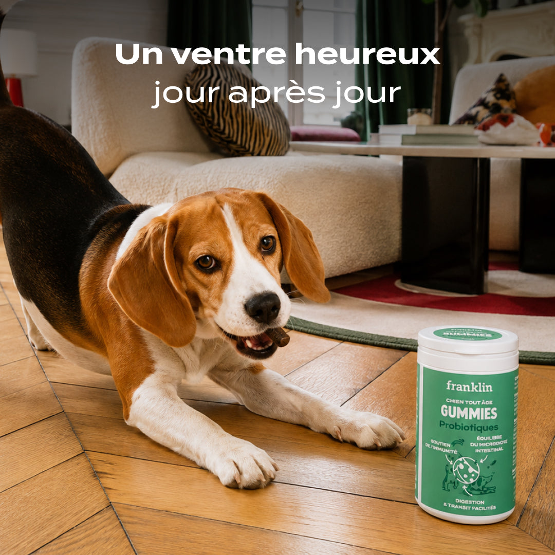 GUMMIES PROBIOTIQUES