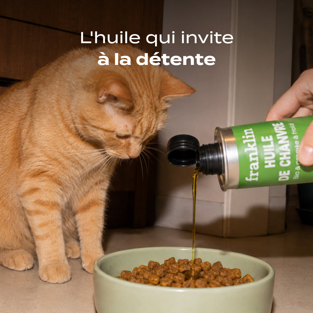 HUILE DE CHANVRE BIO