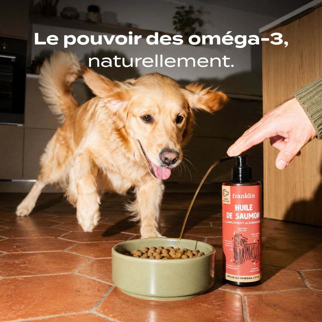 HUILE DE SAUMON
