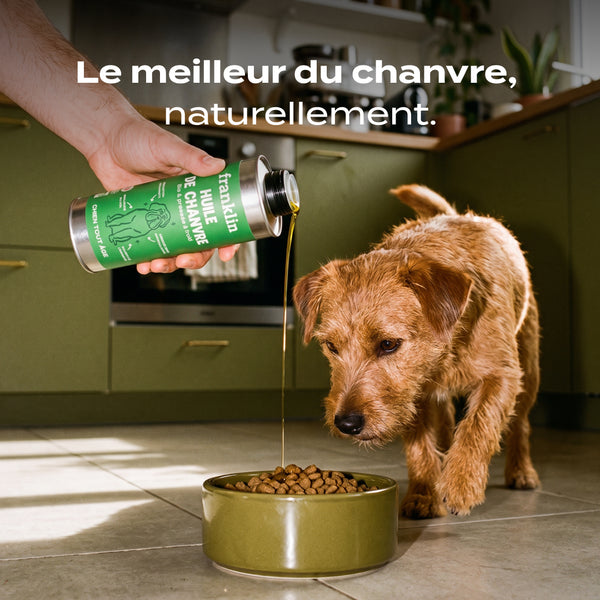 huile-de-chanvre-bio