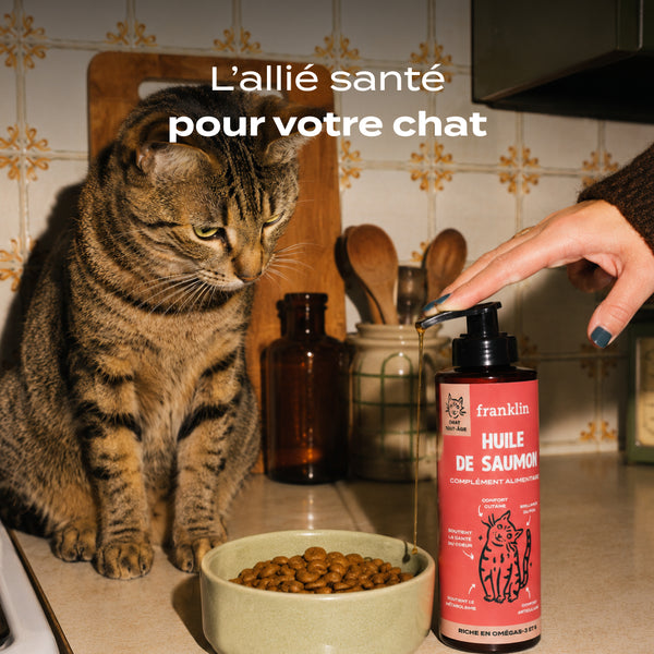 huile-de-saumon