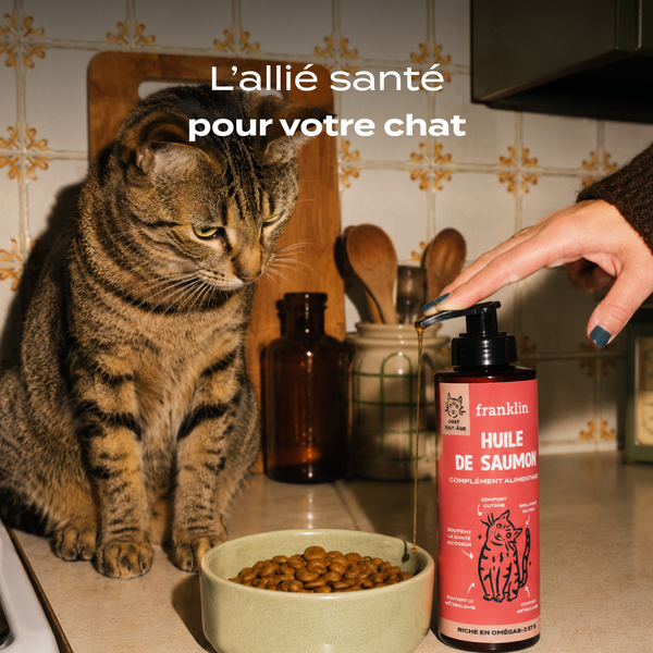 huile-de-saumon