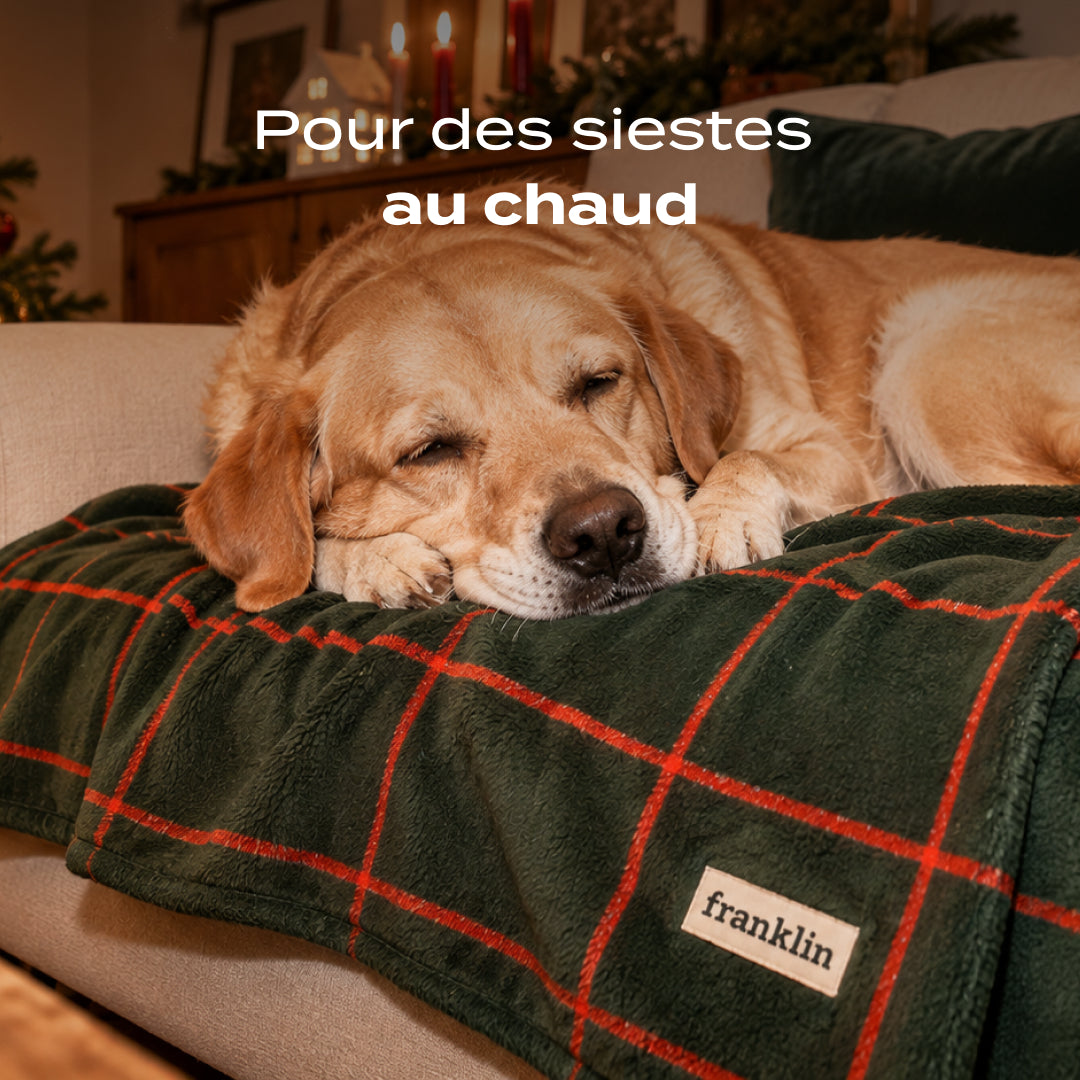 PLAID À CARREAUX