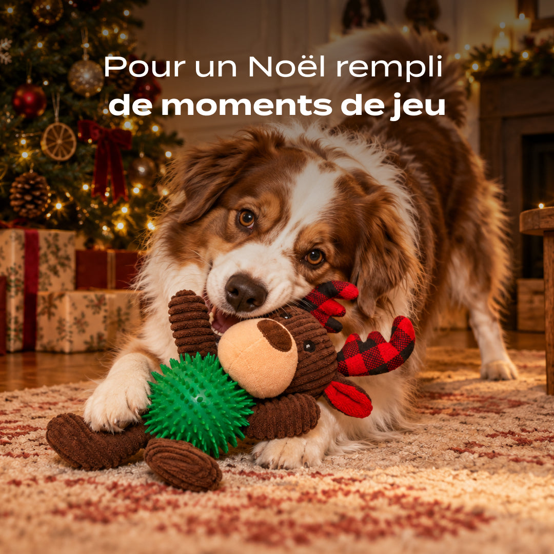 RENNE DE NOËL