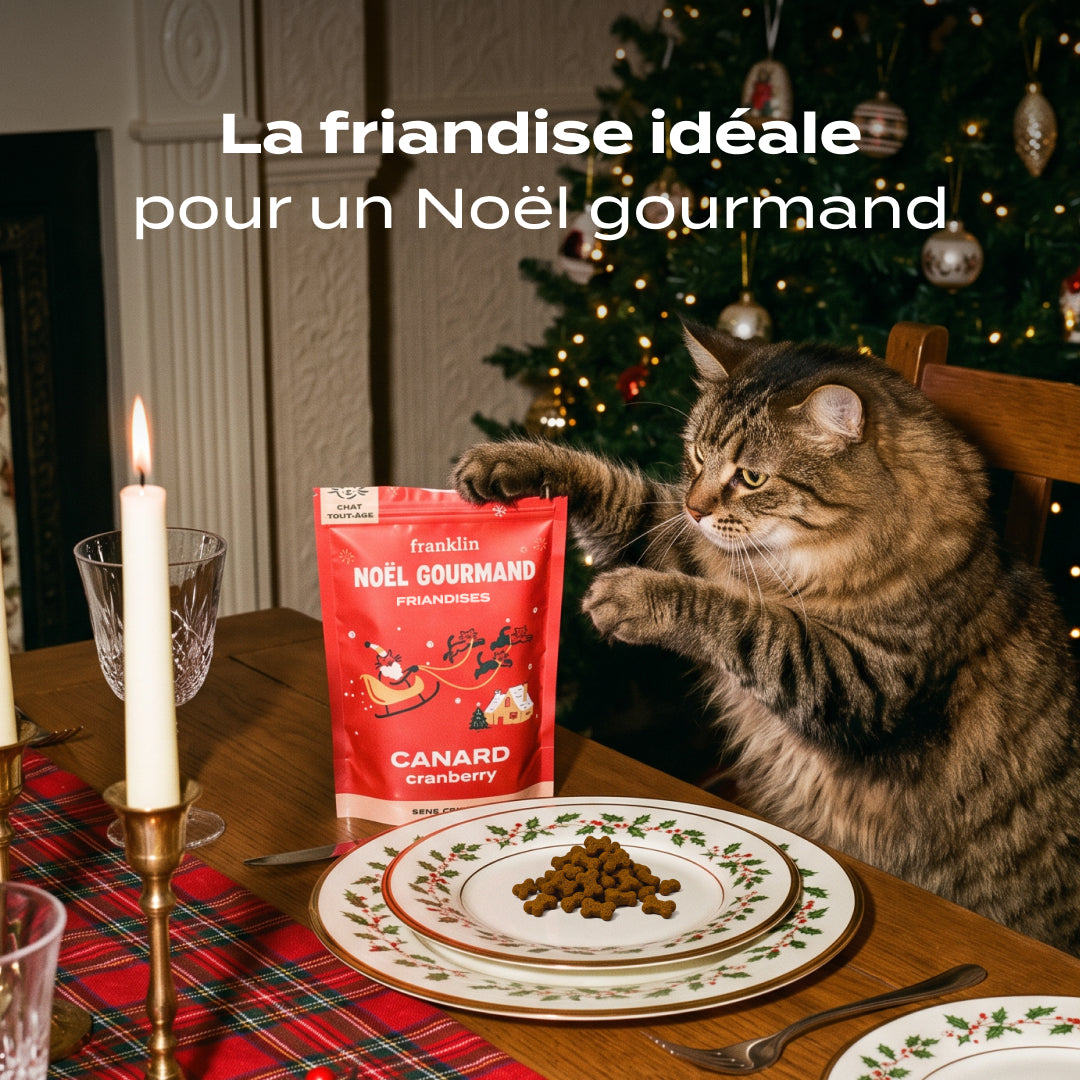 NOËL GOURMAND CANARD, CRANBERRY