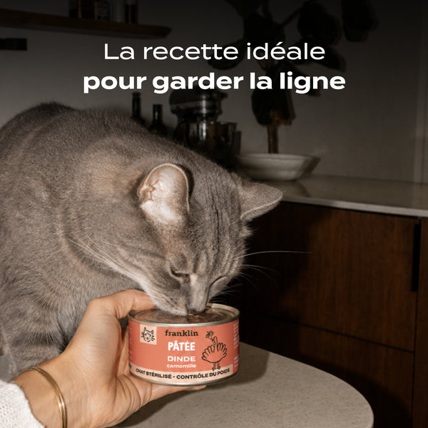 dinde-camomille
