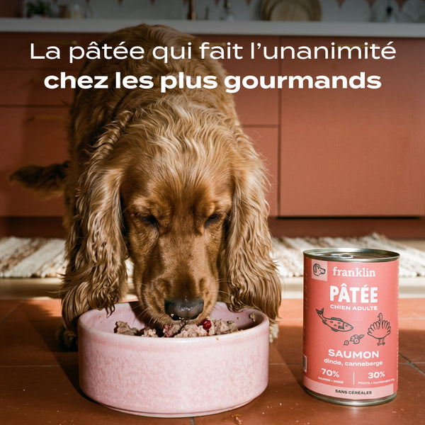 saumon-dinde-canneberge